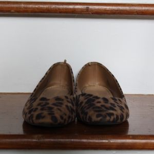Pointed Toe Leopard Flats